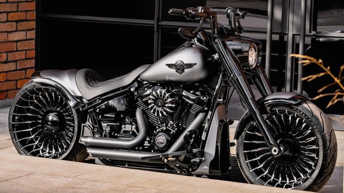 Harley-Davidson SPECIAL SHOWBIKE Custom: SPECTACULA | Custom motorcycles bobber, Custom choppers ...