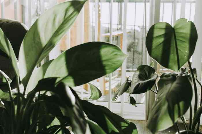 16 Eco-Friendly Home Decor Brands You Should Know | Barbulianno Design